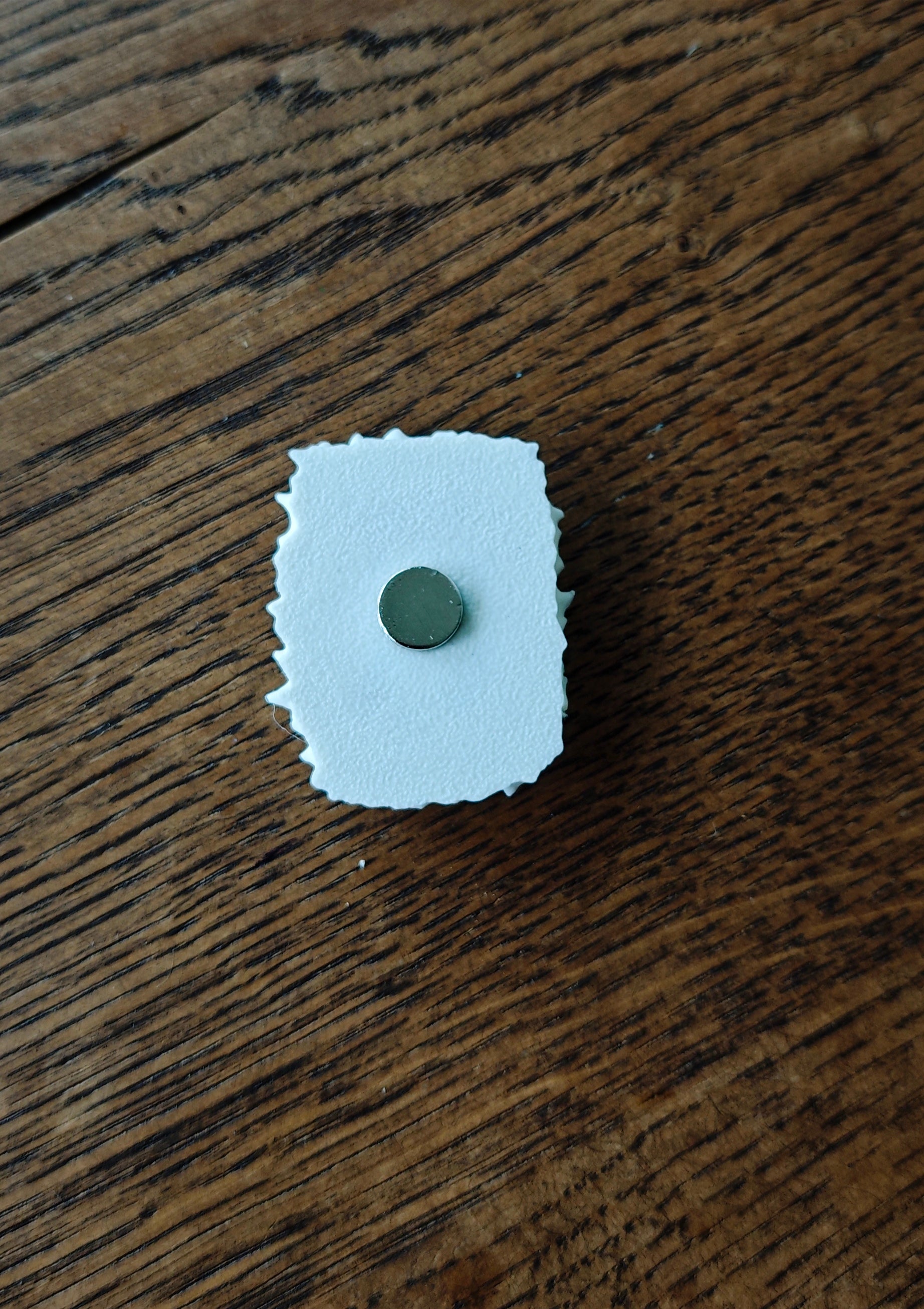 Monoco Keychain / Bag Charm / Pin / Magnet